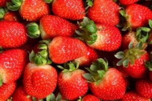 Un biofilm comestible issu de déchets alimentaires pour doubler la durée de conservation des fraises par FreshPlaza