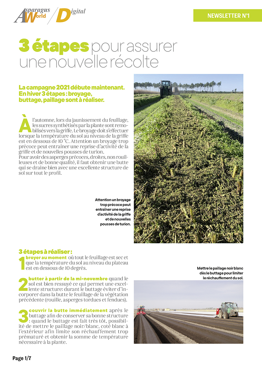 Lettre d&rsquo;information Asparagus World #01