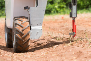 The two kinds of asparagus harvesting machinery