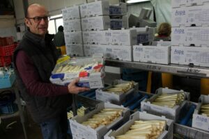 Luxury white asparagus has a name: ASPA