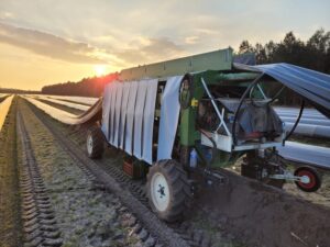AsperCut : l’innovation de rupture qui redonnera de l’autonomie au producteur d’asperge? par FreshPlaza