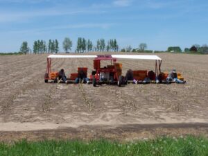 US asparagus faces increasing competition from Mexico