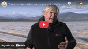 L’association des producteurs d’asperge d’Alsace sur You Tube