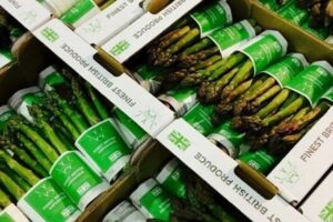 Chris Chinn – Cobrey Farms L’asperge anglaise en pleine saison cette semainepar FreshPlaza
