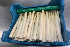 La saison des asperges blanches néerlandaises débute alors que le marché des herbes fraîches est en difficulté par FreshPlaza