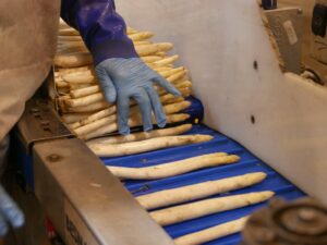 Asparagus sectors pushes to extend standard lengths