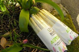 Bien que les cours soient restés stables, ils n’auront pas compensé le manque de volumes des asperges par FreshPlaza
