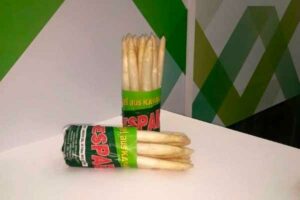 (Grèce) « L’augmentation de l’offre d’asperges rattrape la forte demande » par FreshPlaza