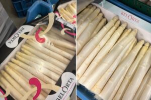 Ellen Sebrechts, de Sebrechts Groenten en Fruit (Belgique) : « Les prix commencent à baisser, mais les ventes ne décolleront qu’à la fin de la semaine prochaine » par FreshPlaza