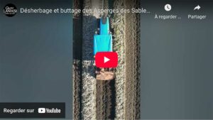 Les asperges des Landes désherbage, buttage par You Tube