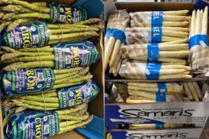 Lancement de la saison des asperges allemandes au centre de produits frais de Francfort « Un début de saison précoce et coûteux » par FreshPlaza