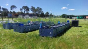 Against asparagus dieback, unity is strength