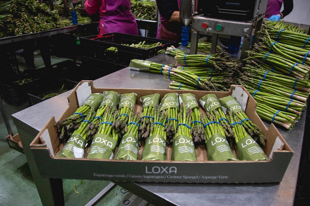 befve asperges